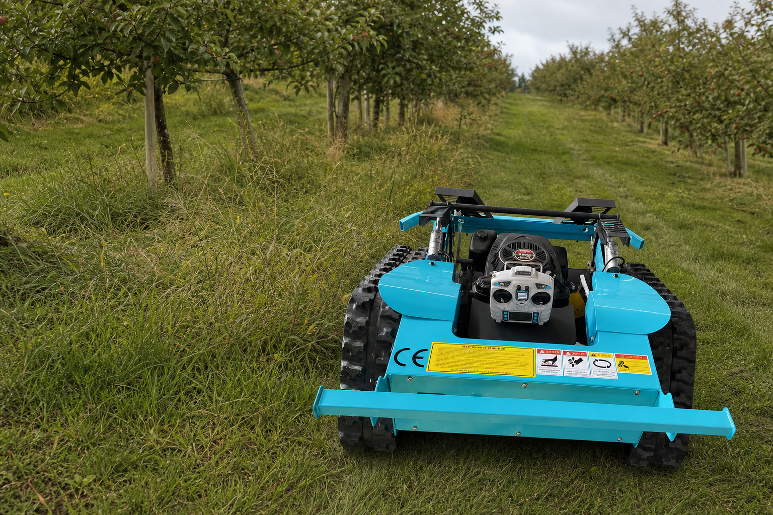 Remote control crawler mower working between orchard rows
